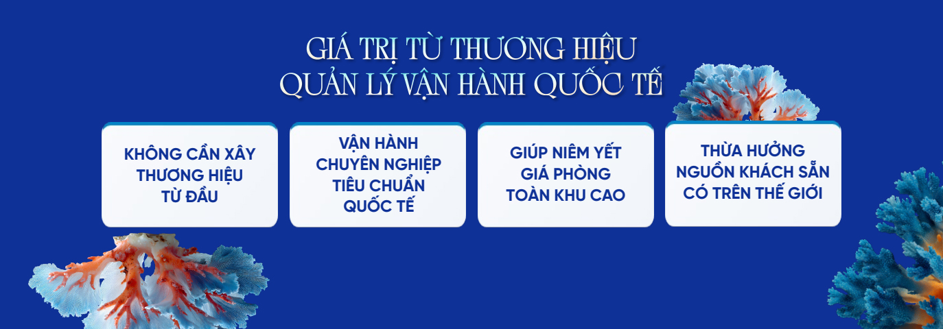 Đơn vị vận hành Alora Nha Trang