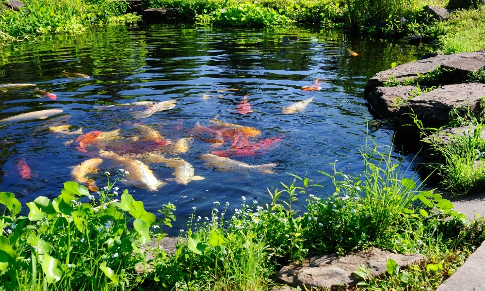 phong thủy nhà chữ l