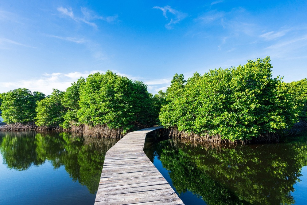 tiến độ Lagoona Bình Châu