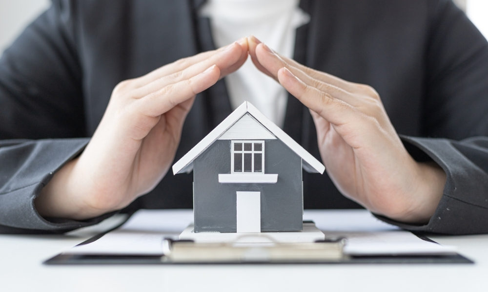 hợp đồng cho ở nhờ nhà