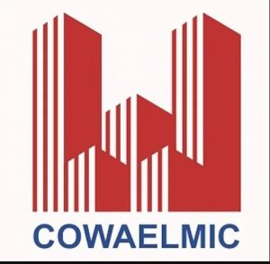 logo CDT-Cowaelmic