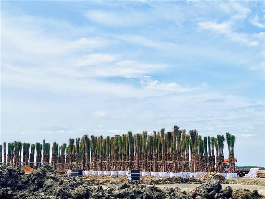 tiến độ thực tế dự án Gold Coast Vũng Tàu 1