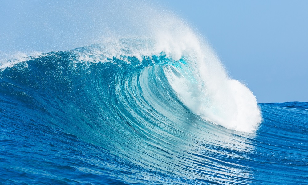 1983 hợp hướng nào