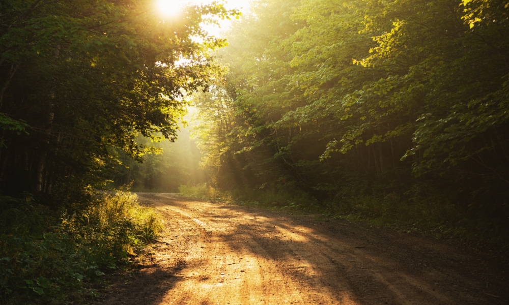 1991 hợp hướng nào