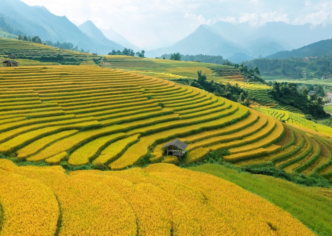 Bảng ký hiệu và phân loại các loại đất theo Luật Đất đai 2024 chọn màu tủ bếp theo phong thủy