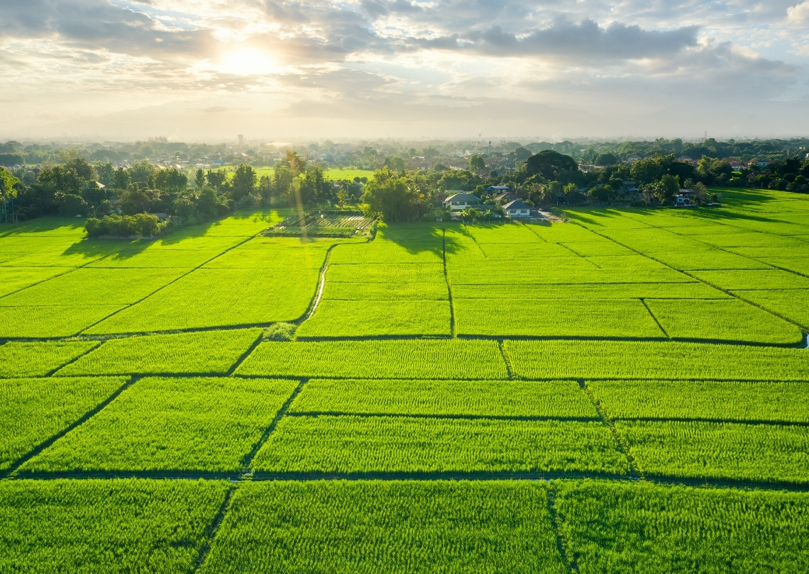 hợp đồng mua bán đất không có sổ đỏ