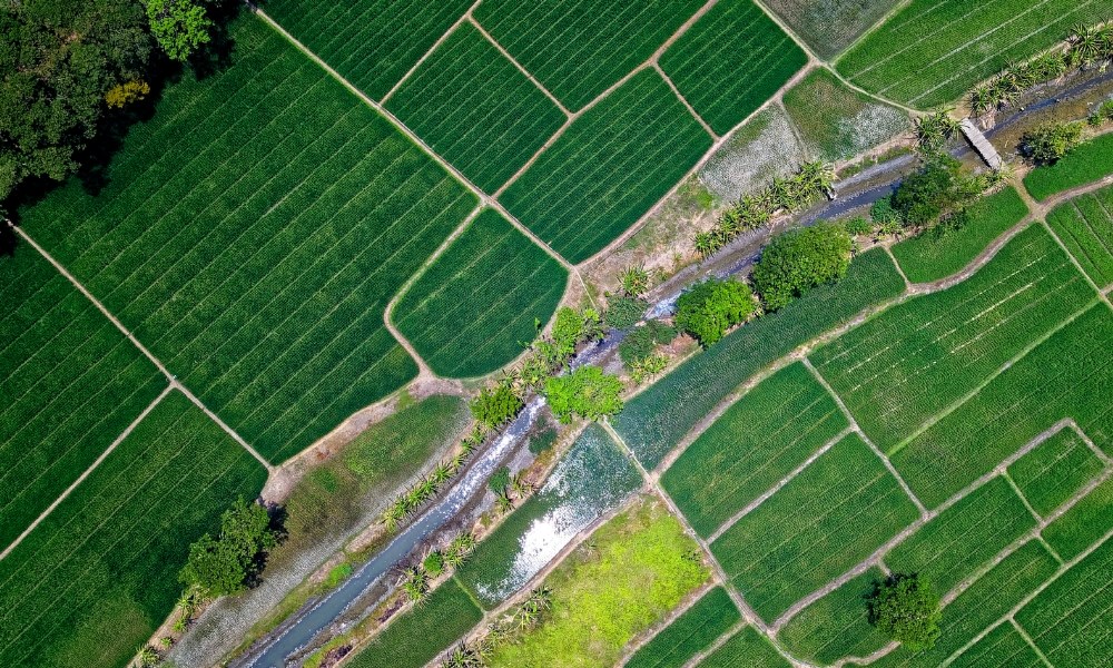 Đất BHK là gì? Có thể xây nhà và chuyển đổi lên đất ở được không? Ký hiệu bhk là đất gì vietnamland.vn Ký hiệu bhk là đất gì