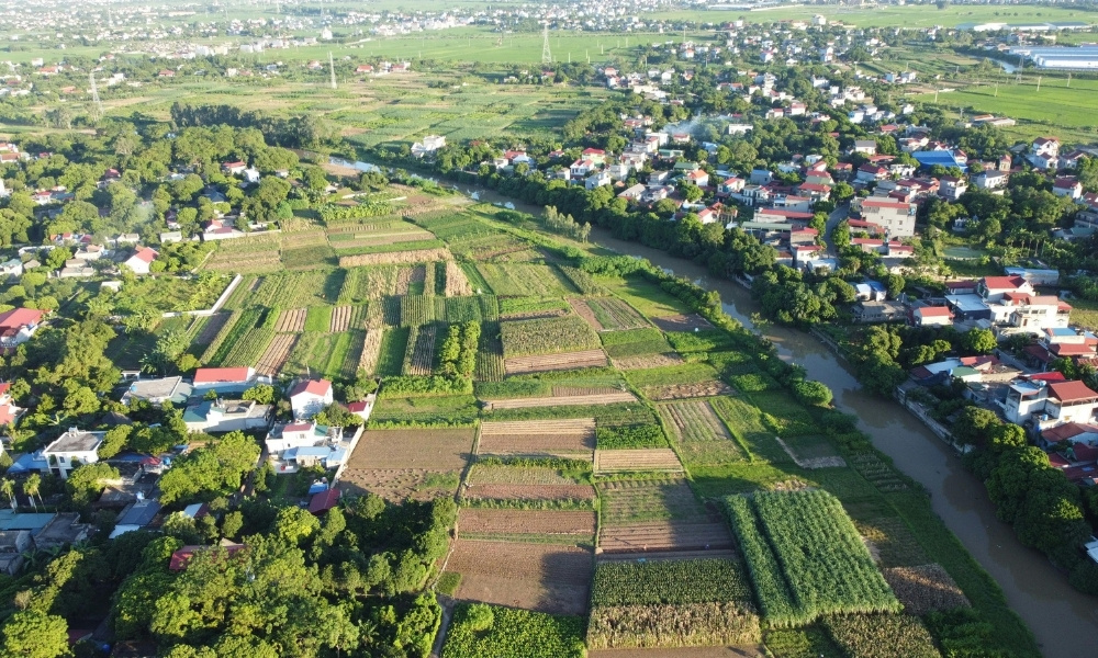 Đất ONT là gì? Các quy định về đất ONT cần biết ont là đất gì vietnamland.vn đất ONT là gì