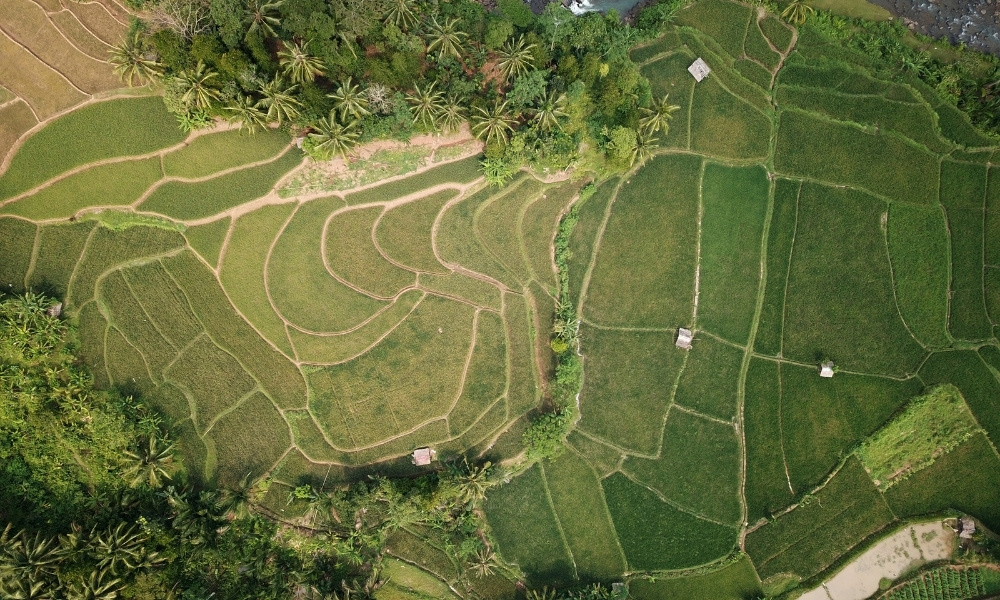Đất ONT là gì? Các quy định về đất ONT cần biết ont là đất gì vietnamland.vn đất ONT là gì