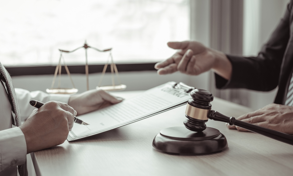 điều 100 luật đất đai 2013