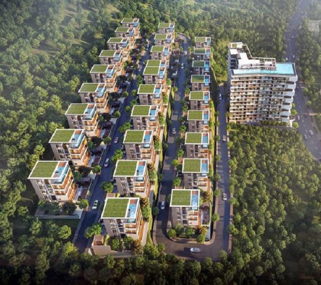 Tổng quan The Lotus Hill