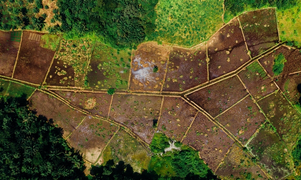 giấy chứng nhận quyền sử dụng đất