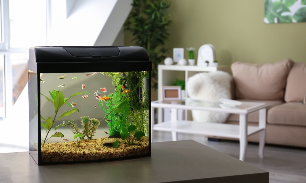 Bí quyết bố trí phong thủy trong nhà để hút tài lộc, đón may mắn phong thủy tài lộc trong nhà vietnamland.vn phong thủy tài lộc trong nhà