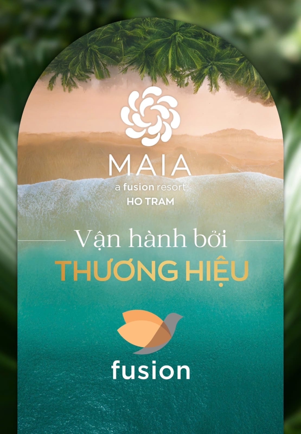 Maia Hồ Tràm